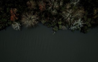 Aerial view over of boats and trees on Bayou Lery near Delacroix, Louisiana