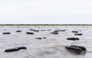 Floating oyster cages at Grand Isle Sea Farms