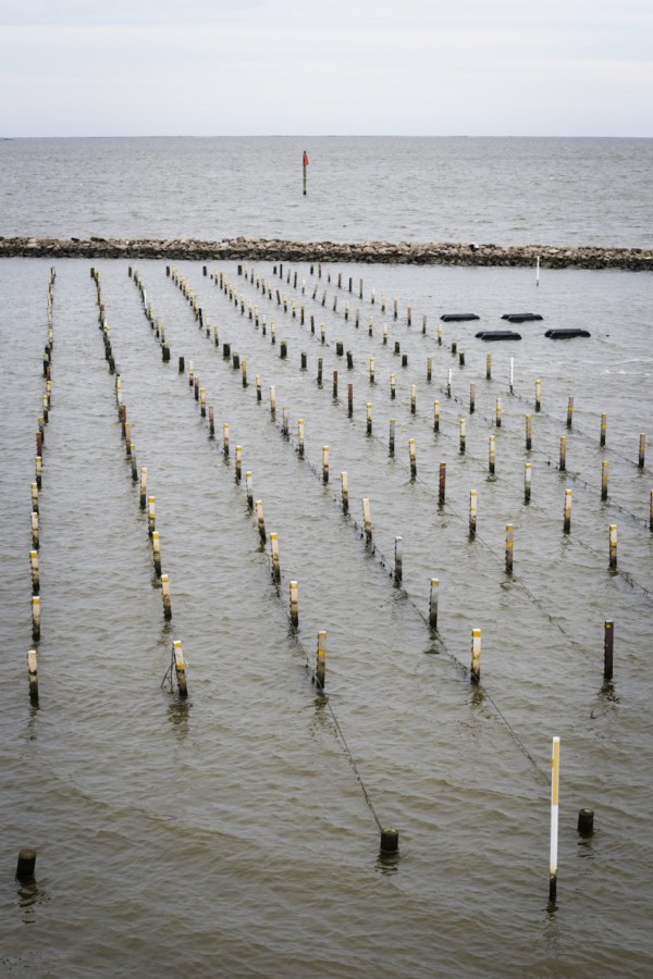 Field trip Grand Isle Oyster Hatchery Paprika Studios