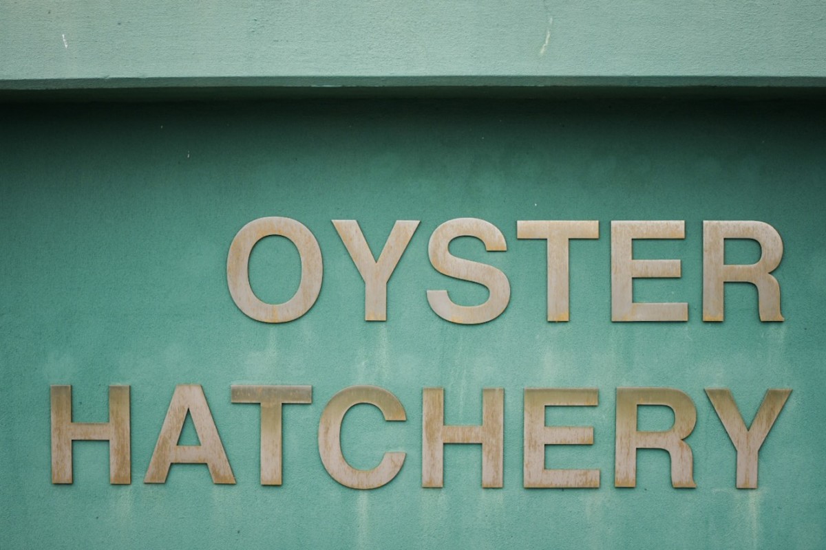 Field trip Grand Isle Oyster Hatchery Paprika Studios