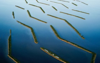 Planted marsh terraces in Terrebonne Parish