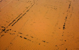 Mud lines and wind ripples of a crawfish pond