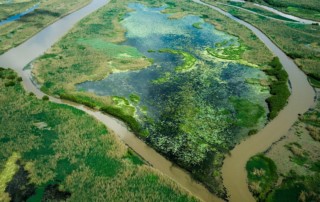 Aerial view of Cubit's Gap looking towards the Mississippi River