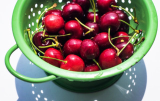 A basket of early summer cherries