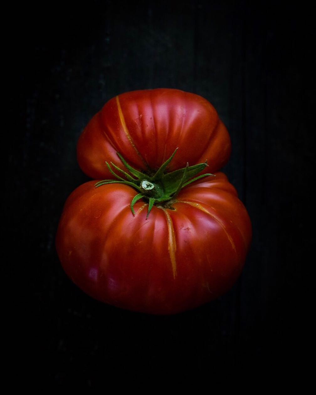 Portrait of a sultry tomato