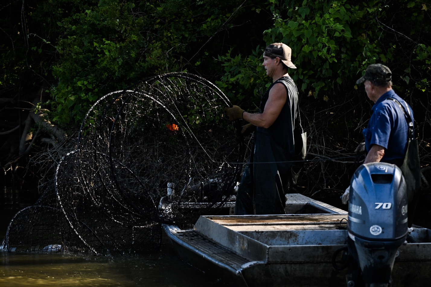 Phillip pulls one of Wilven's hoop nets out of the river