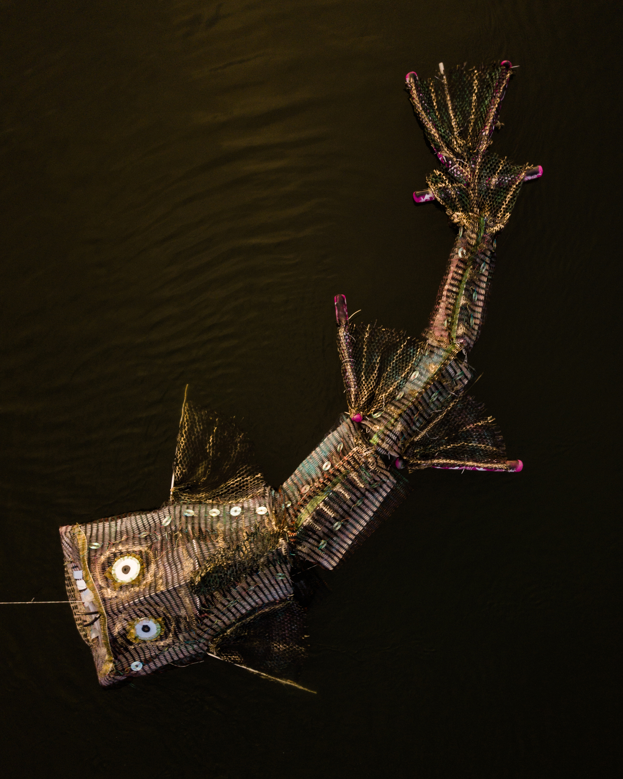 Detailed aerial view of Carole Alden's untitled water creature