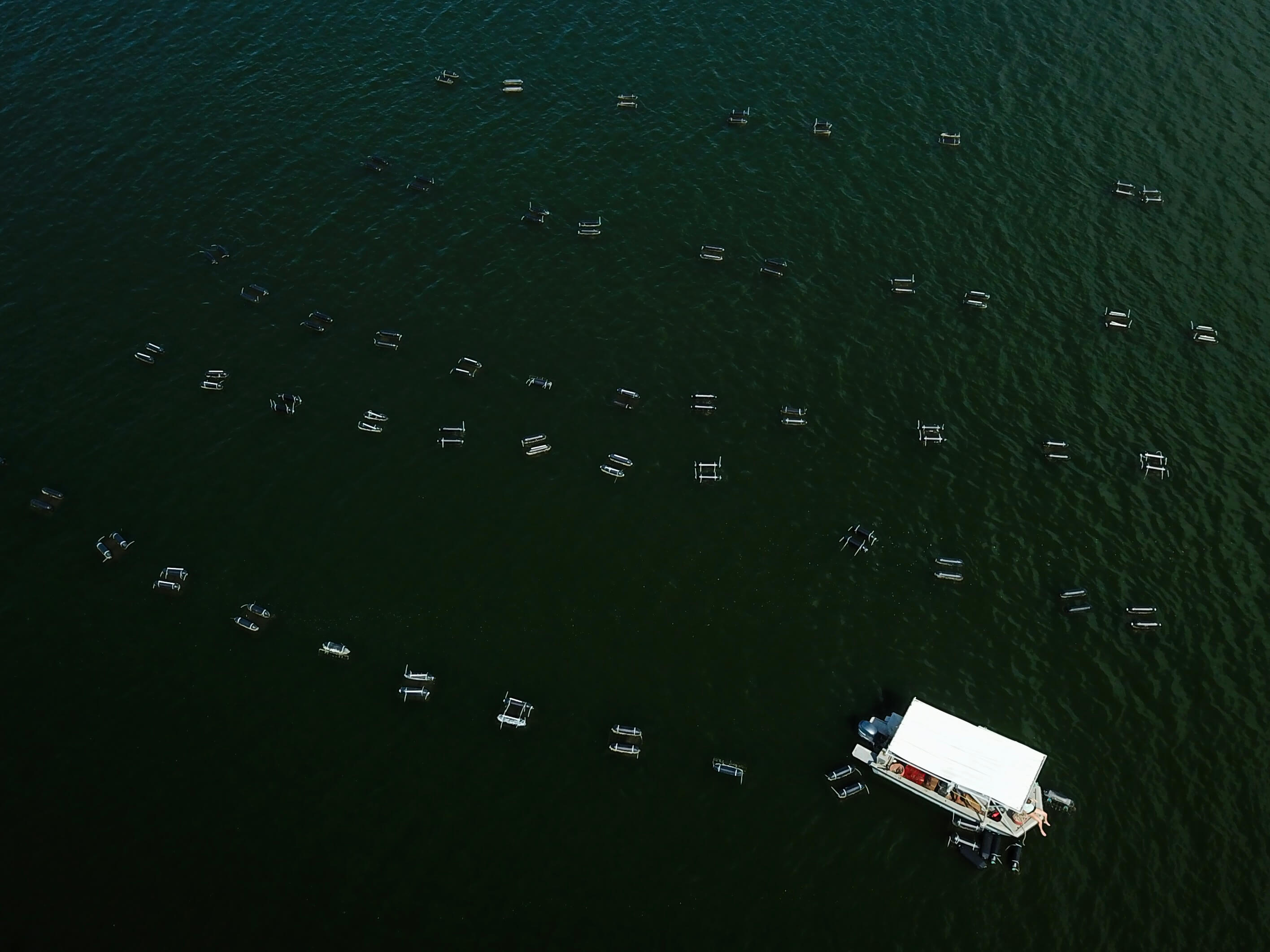 Floating oyster beds and boat at Grand Isle Sea Farms