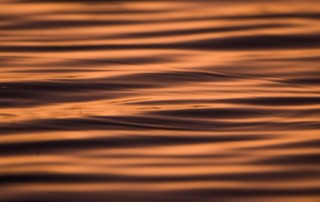 Ripples on the water before sunrise