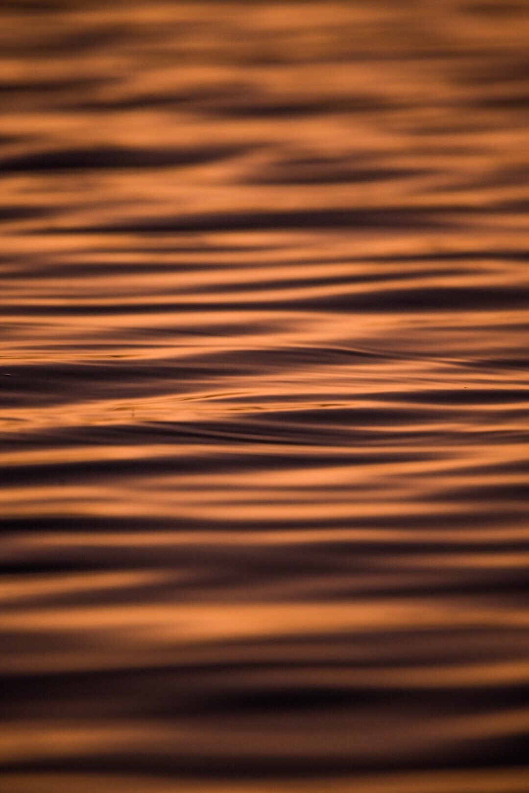 Ripples on the water before sunrise