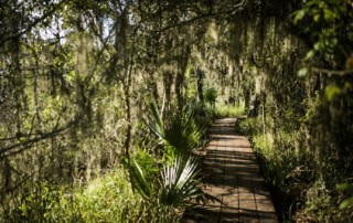 Barataria's elevated walkway along Bayou Coquille