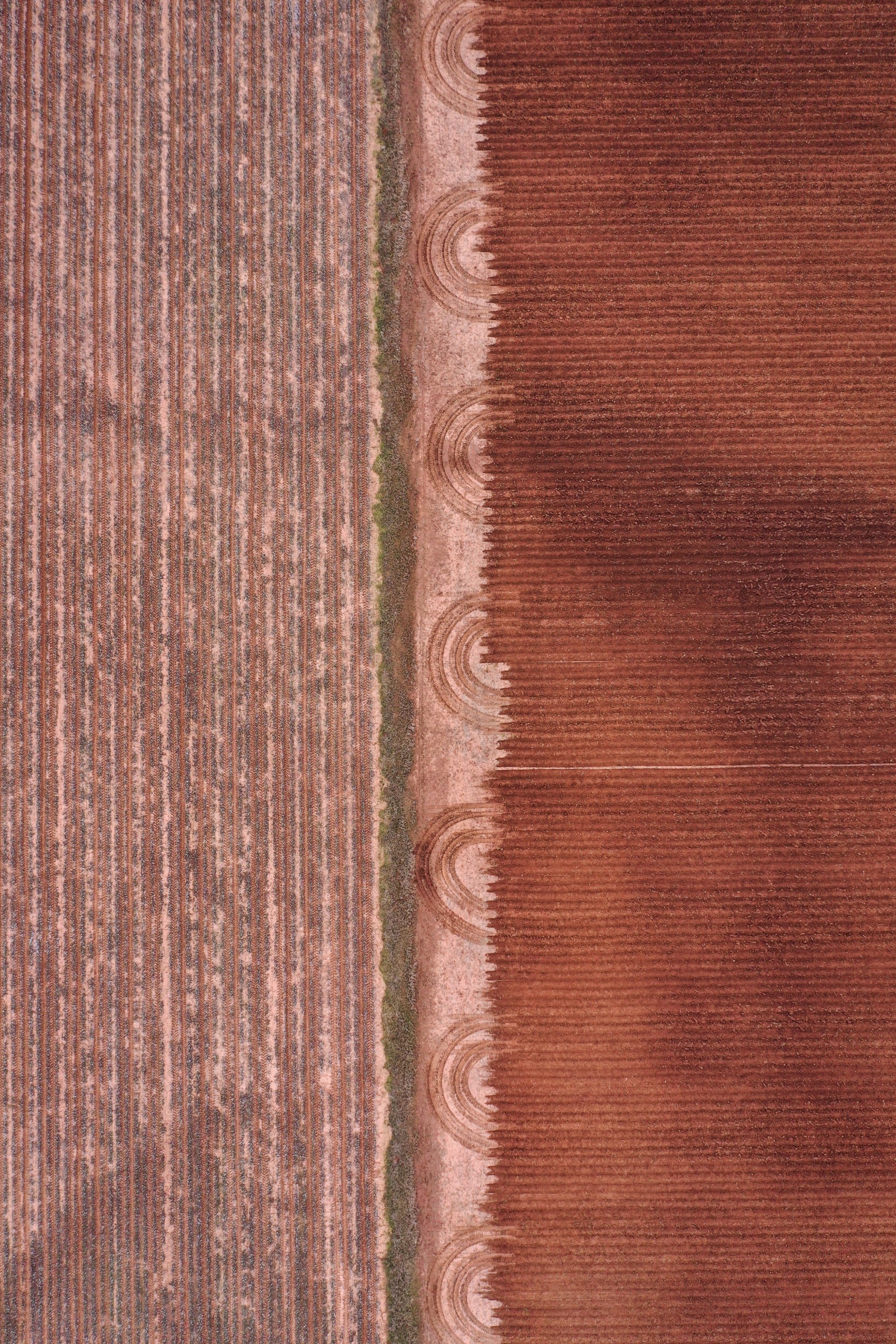 A picked cotton field waiting to be mowed adjacent to a freshly tilled field