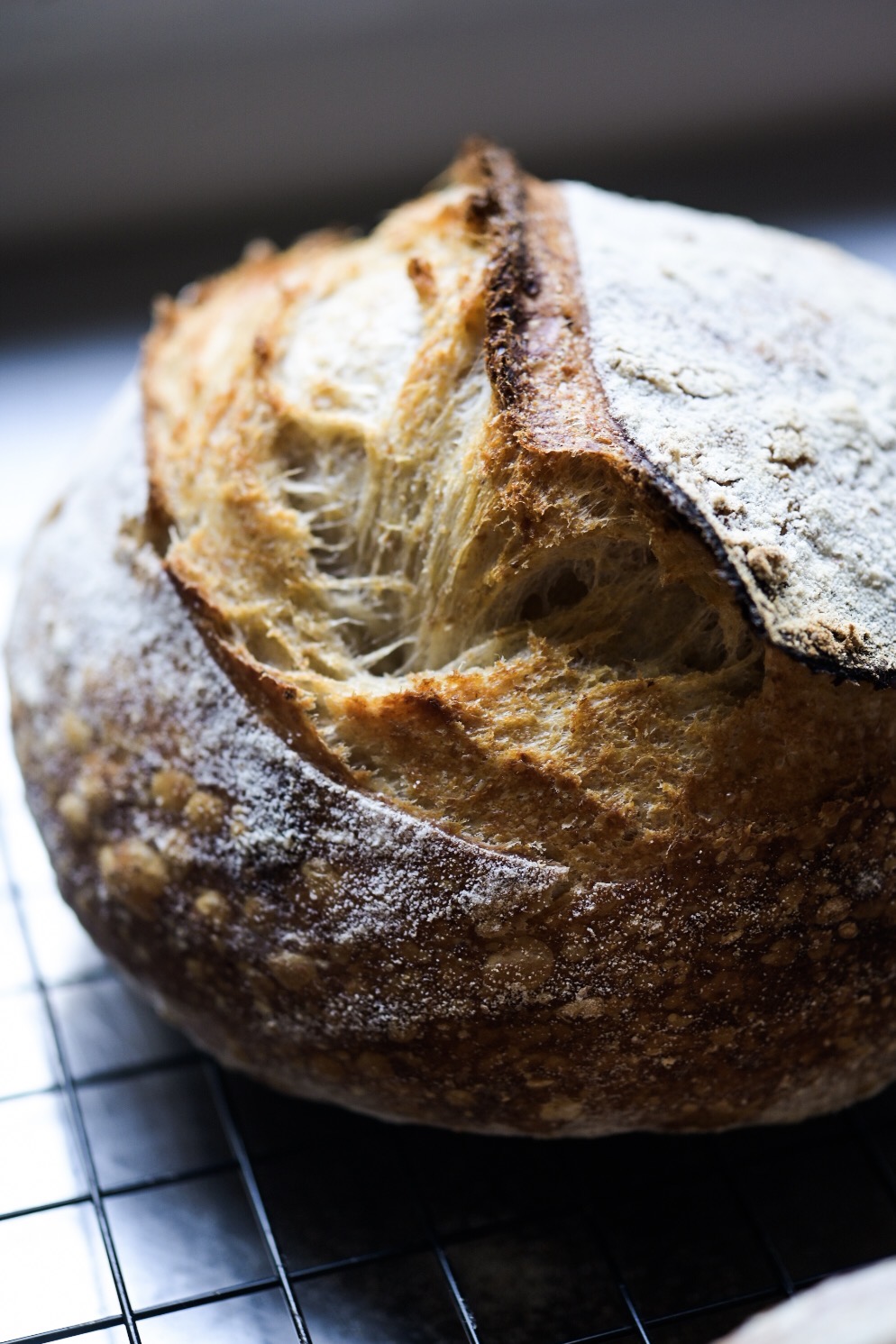 Freshly-baked country sourdough with rye