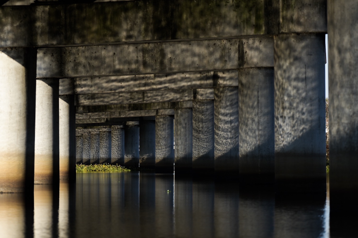Reflections under I-55 at the kayak entrance to Maurepas Swamp