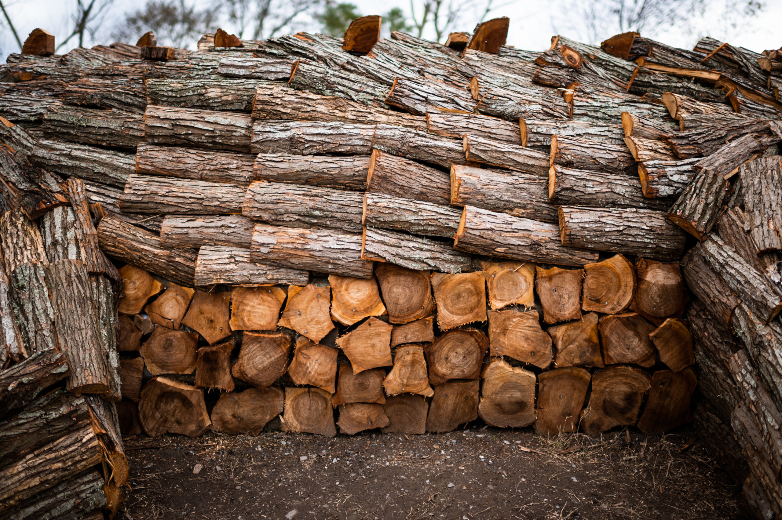 Detail of the alligator - firewood stacked in patterns to mimic back and belly scales