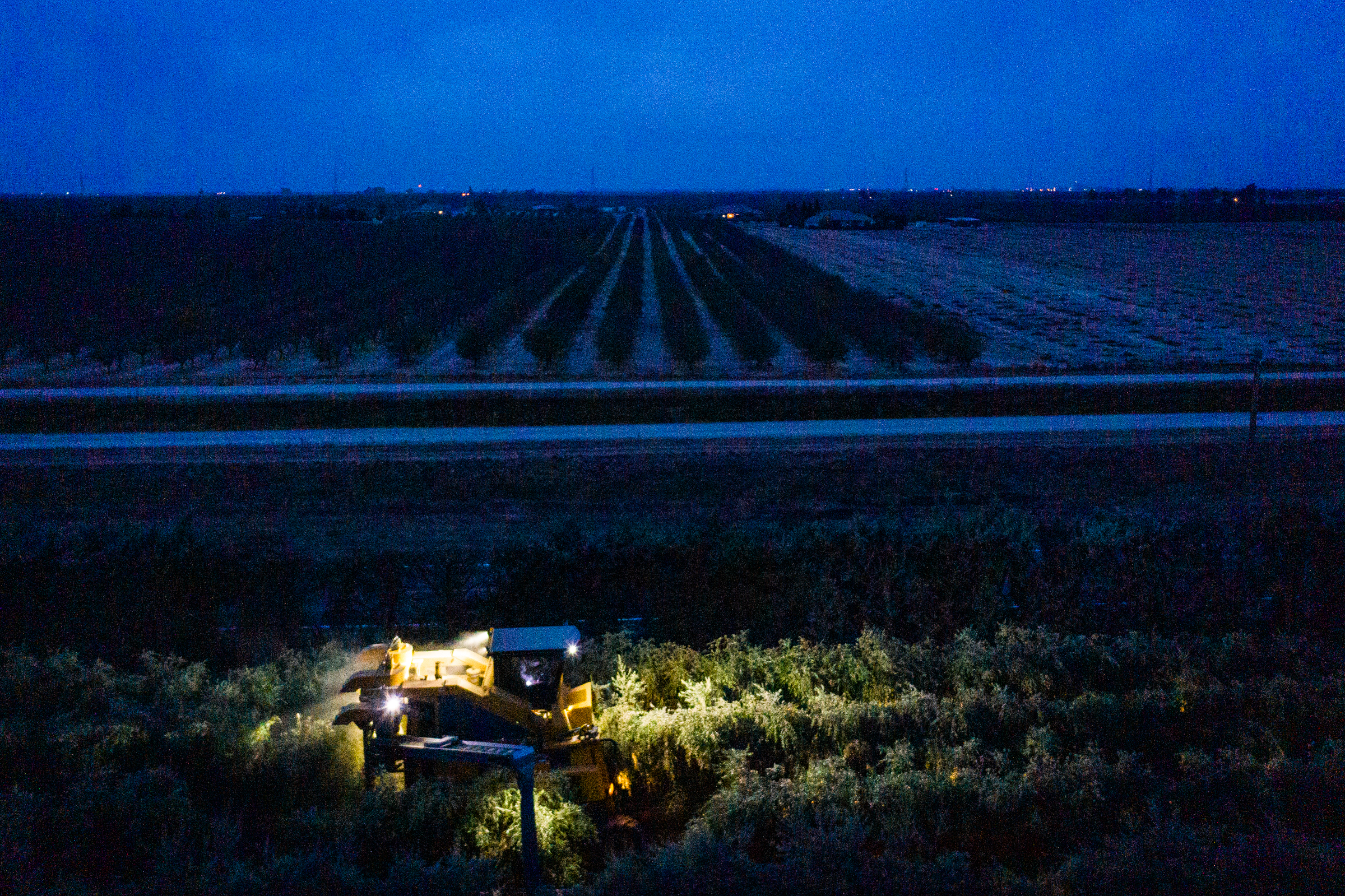 Aerial view of an olive harvester running at night