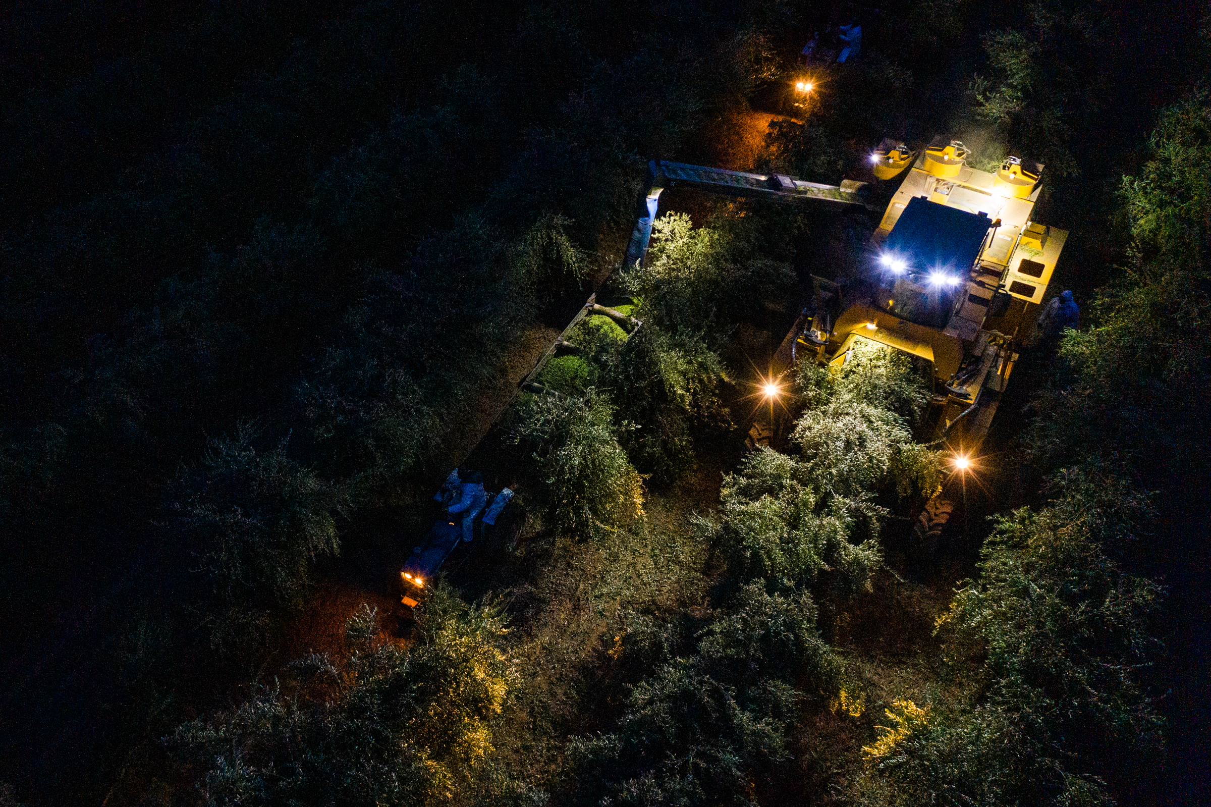 View from above of machinery and crew harvesting at night