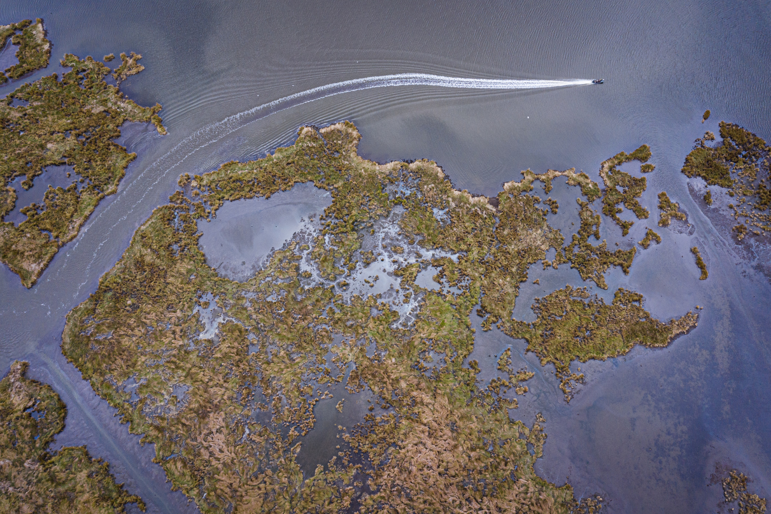 A boat crosses open water near restored marshes west of Lake Hermitage