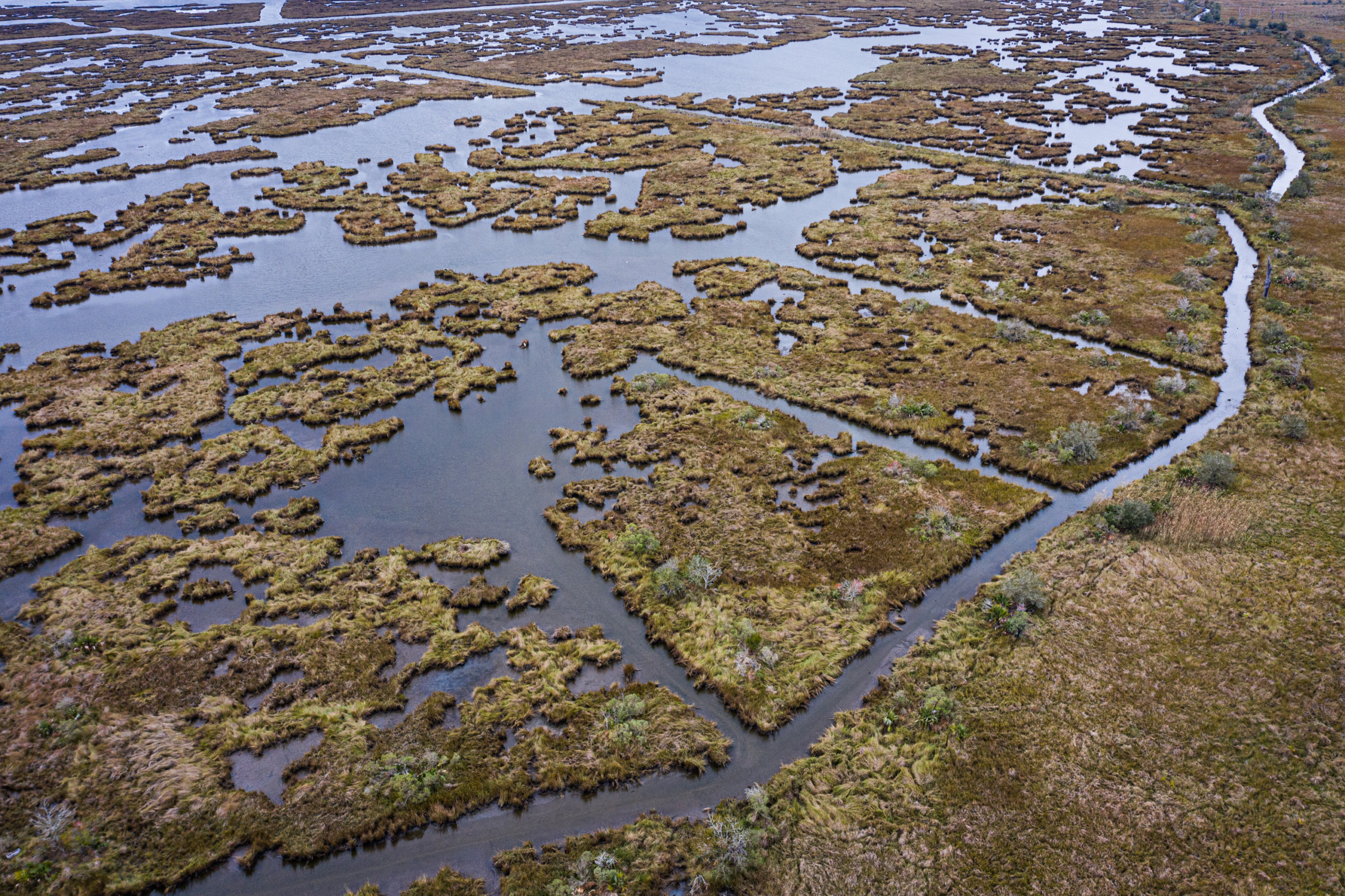 Broken marsh along the now-paved road to Lake Hermitage