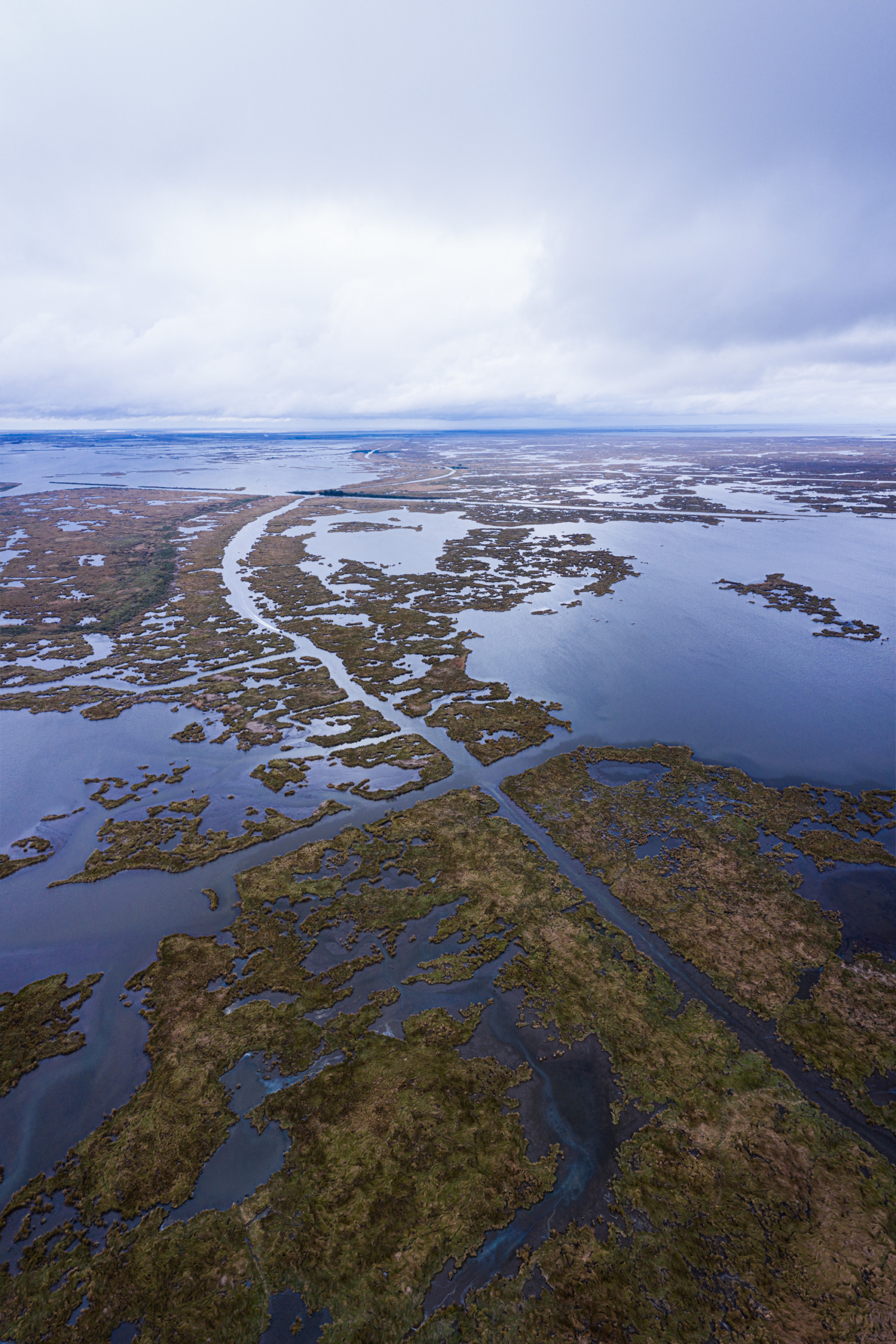 Marsh and open water forming the western edge of Lake Hermitage