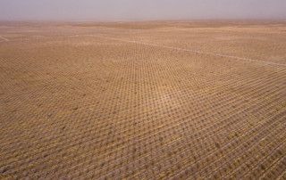 The haze of a dust storm over pistachio groves in Central California