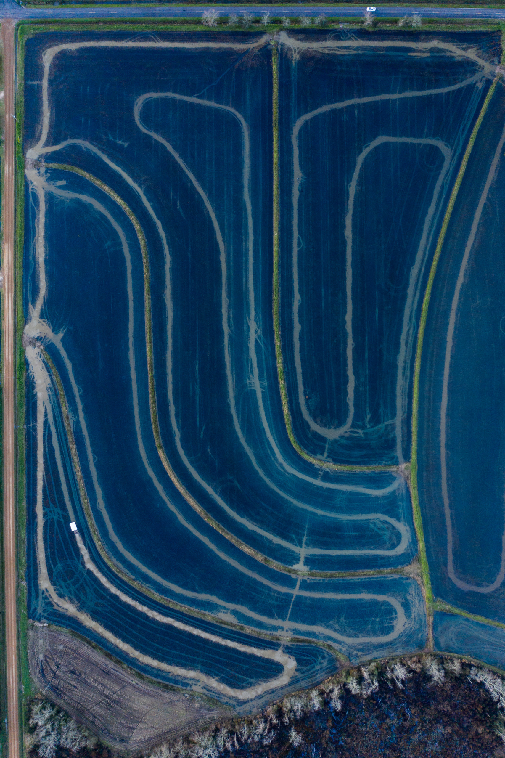 Lines traced through a flooded rice field for crawfish farming