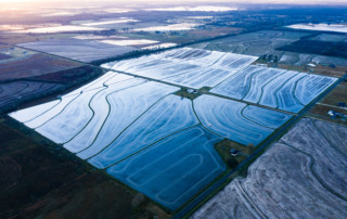 A flooded rice field reflects the sunrise in Jennings, Louisiana