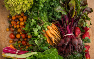 Winter haul from Crescent City Farmers Market