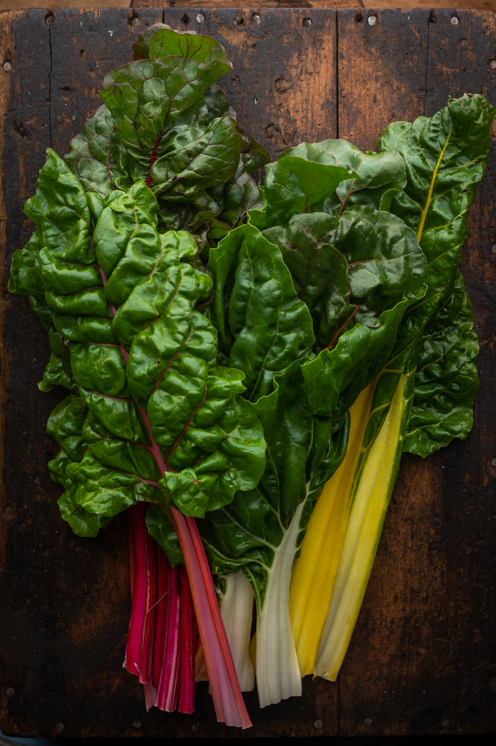 Portrait of rainbow chard from Crescent City Farmers Market