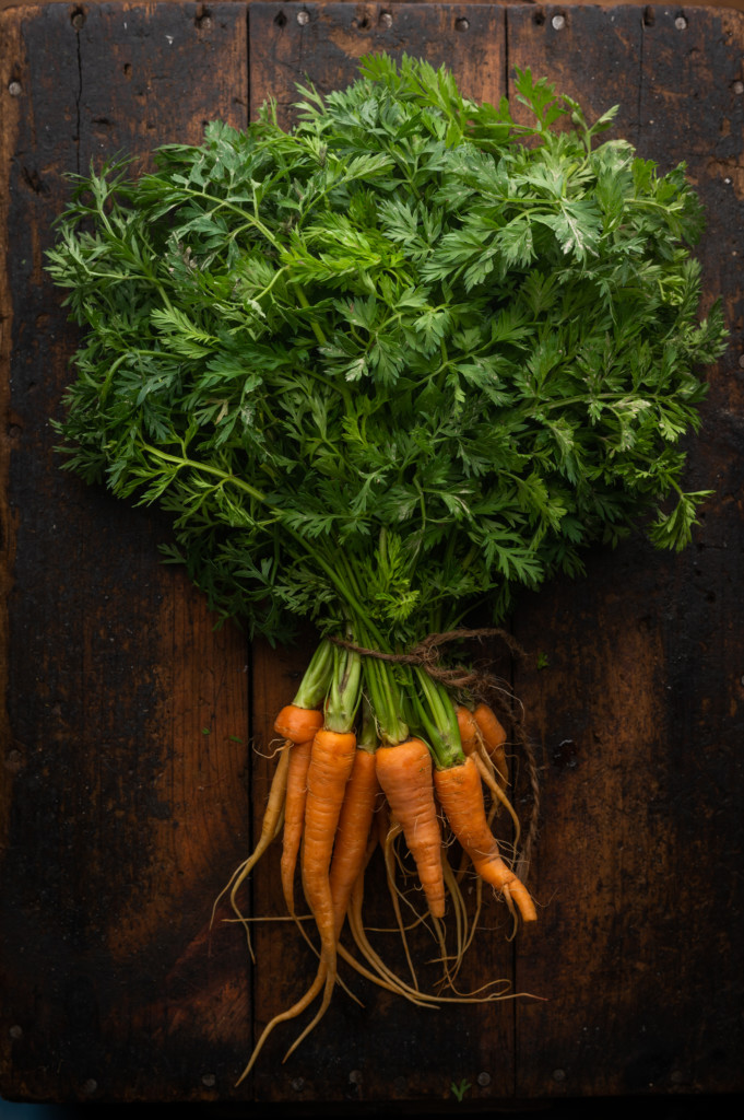 Portrait of a bunch of carrots from the farmers market