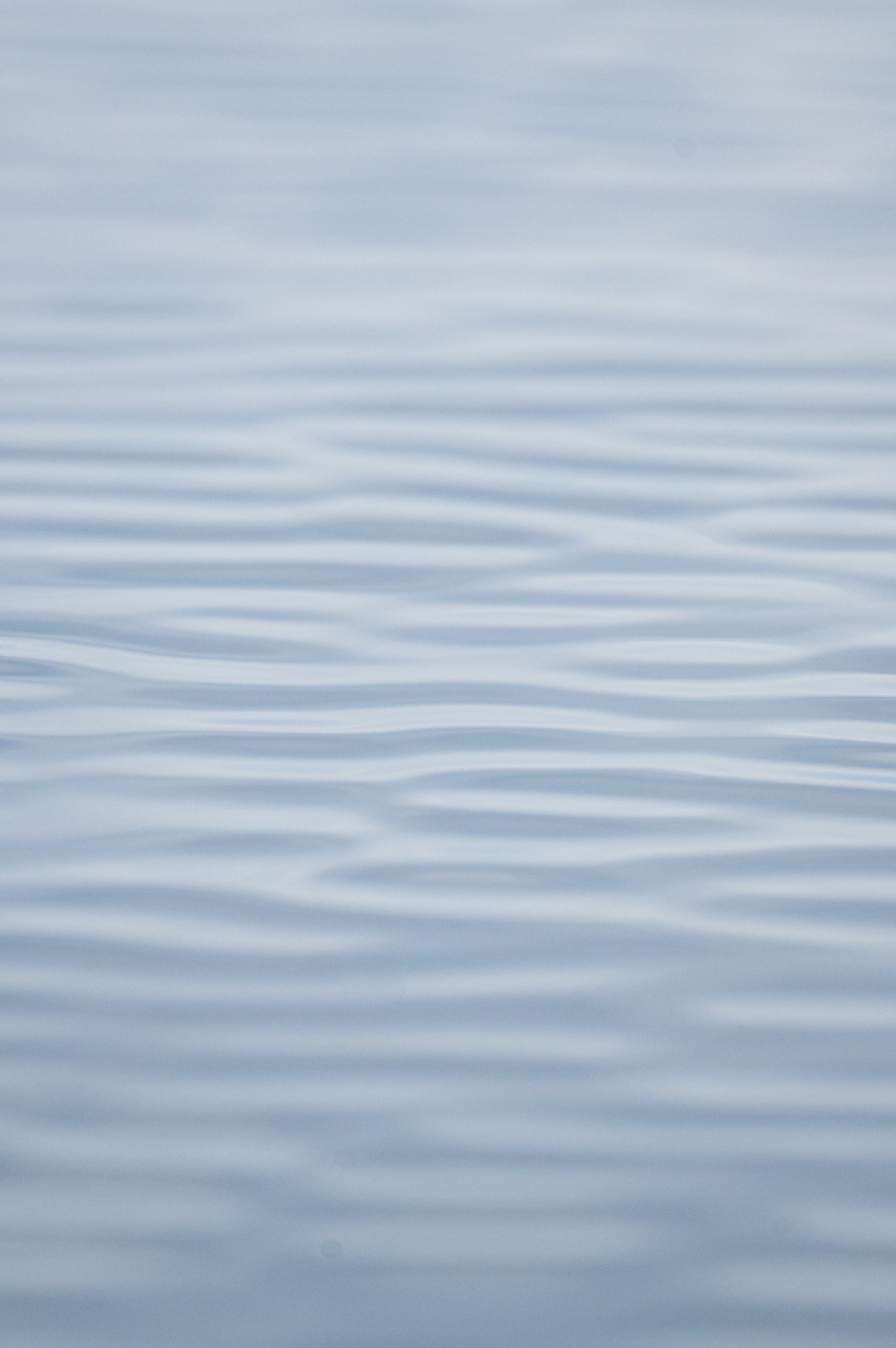 Harder, tighter ripples in open water under a grey sky