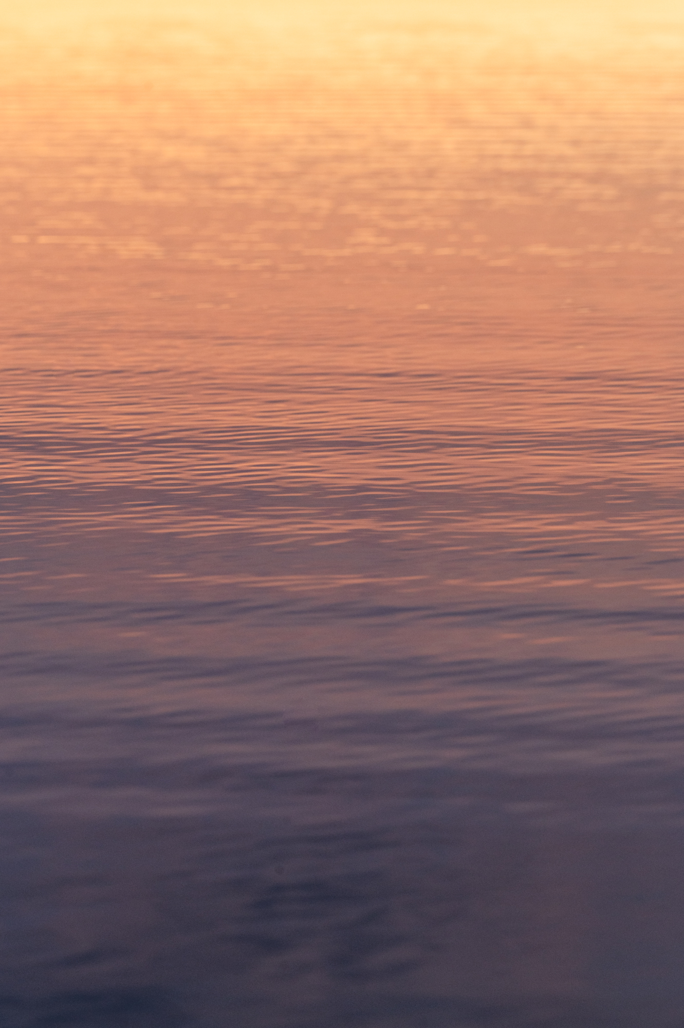 A warm-to-cold gradient across the water as the sun sets
