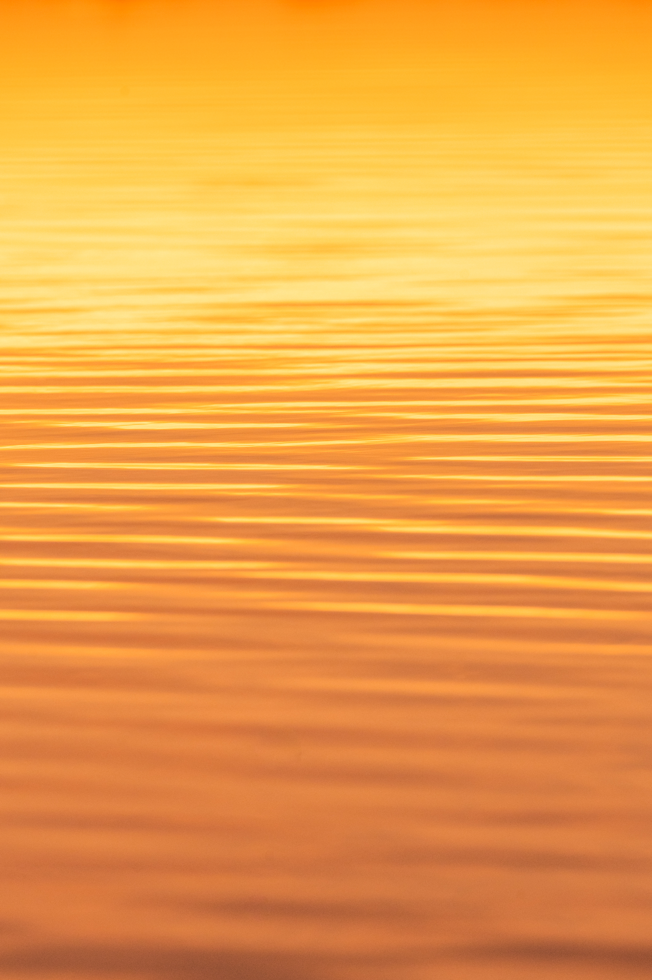 Vibrant, glowing orange ripples in the marsh