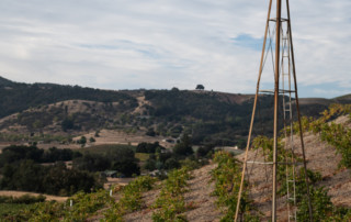 A windmill and old pickup truck along a hillside at Peachy Canyon Winery