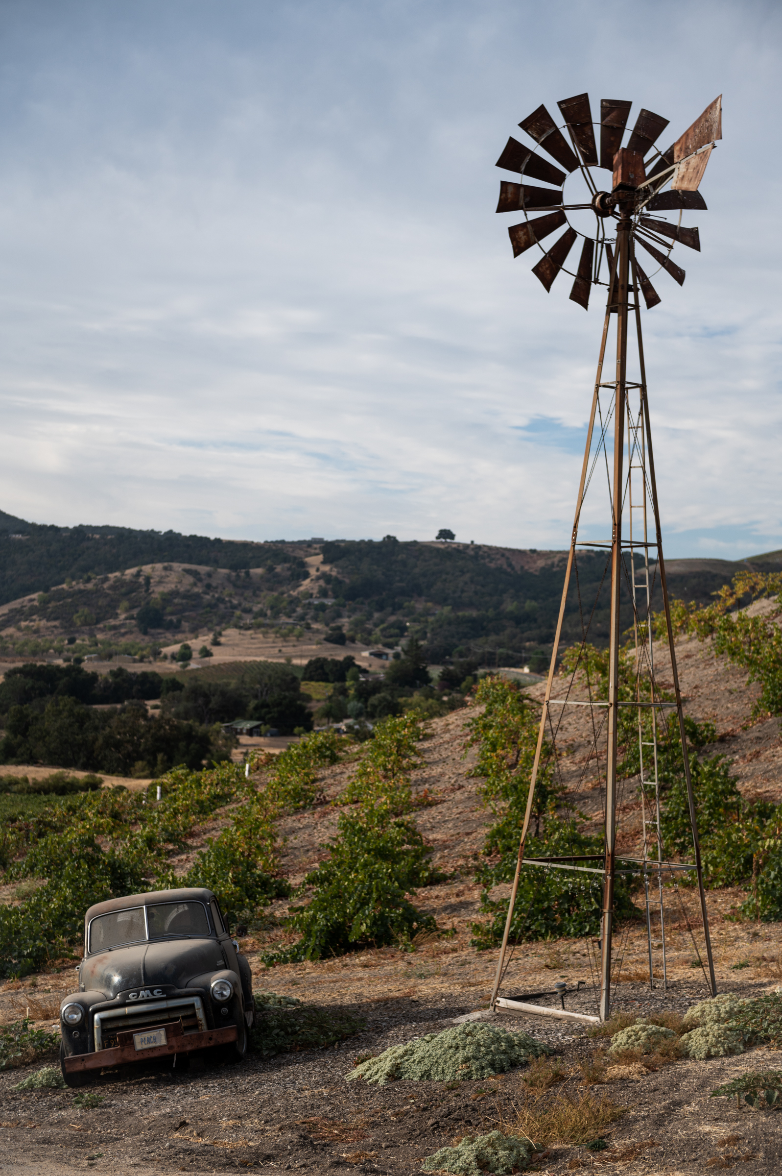 A windmill and old pickup truck along a hillside at Peachy Canyon Winery