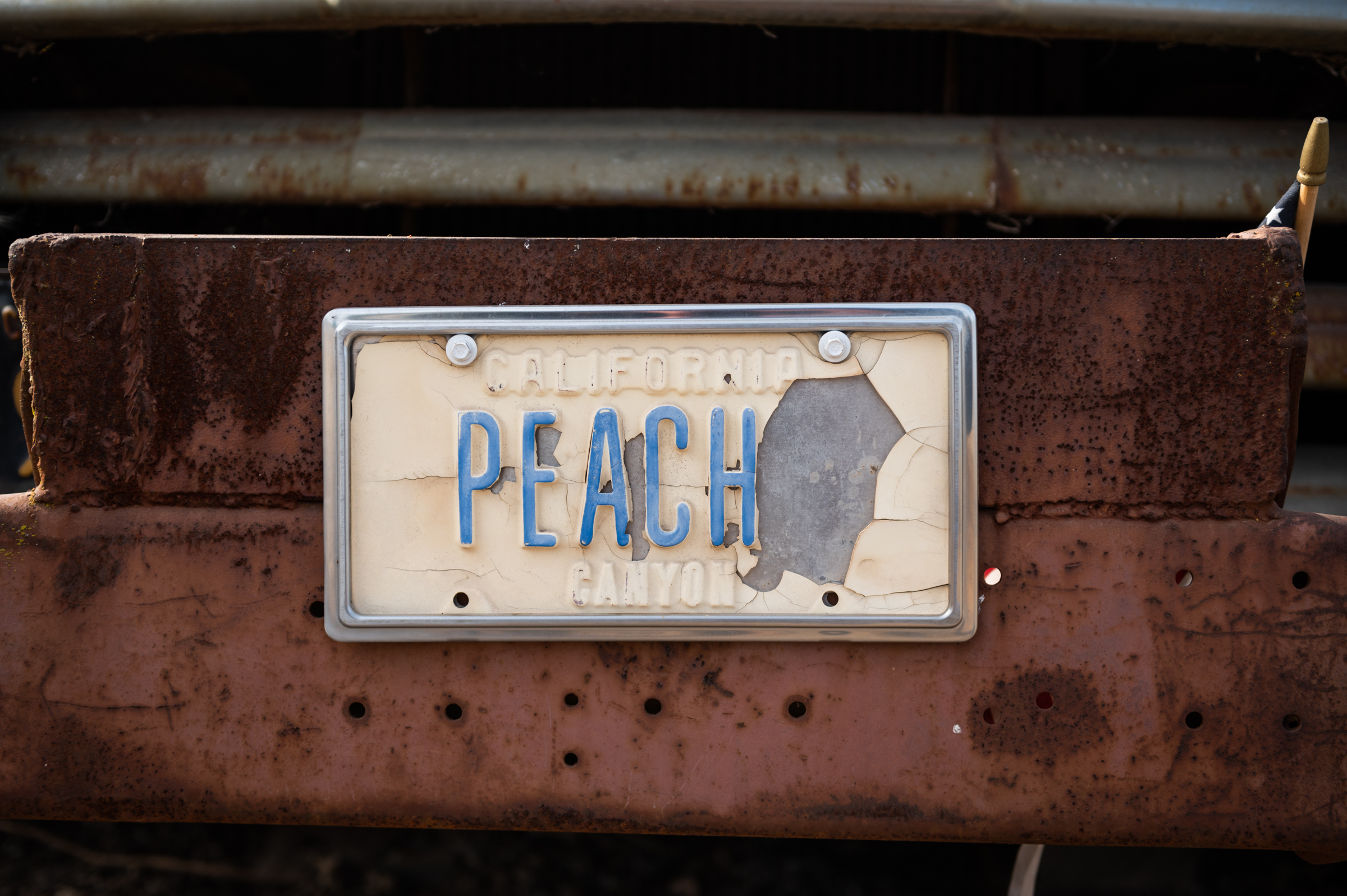A faded license plate at Peachy Canyon