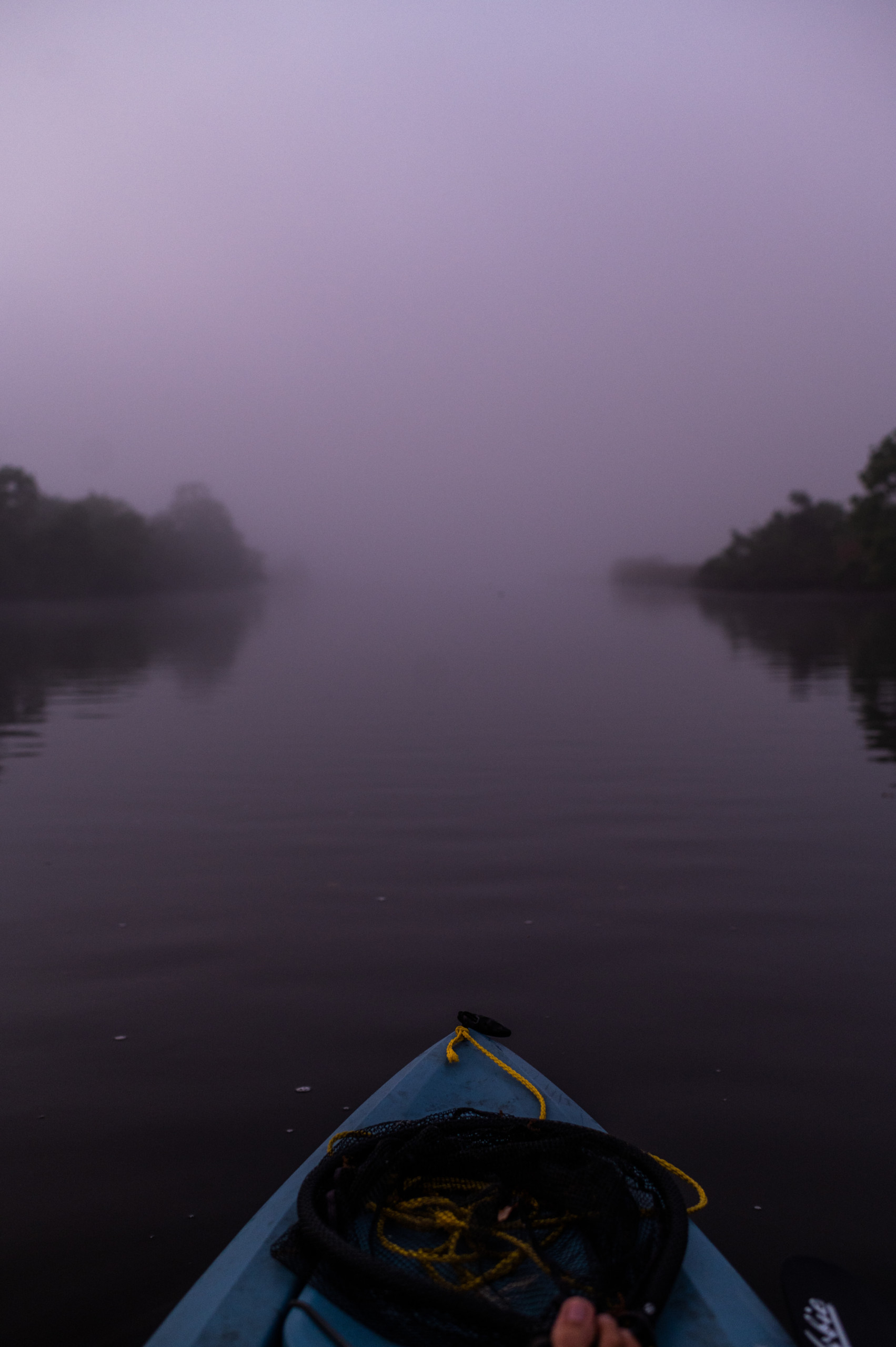 Fog in the Reggio Canal, as see from the kayak