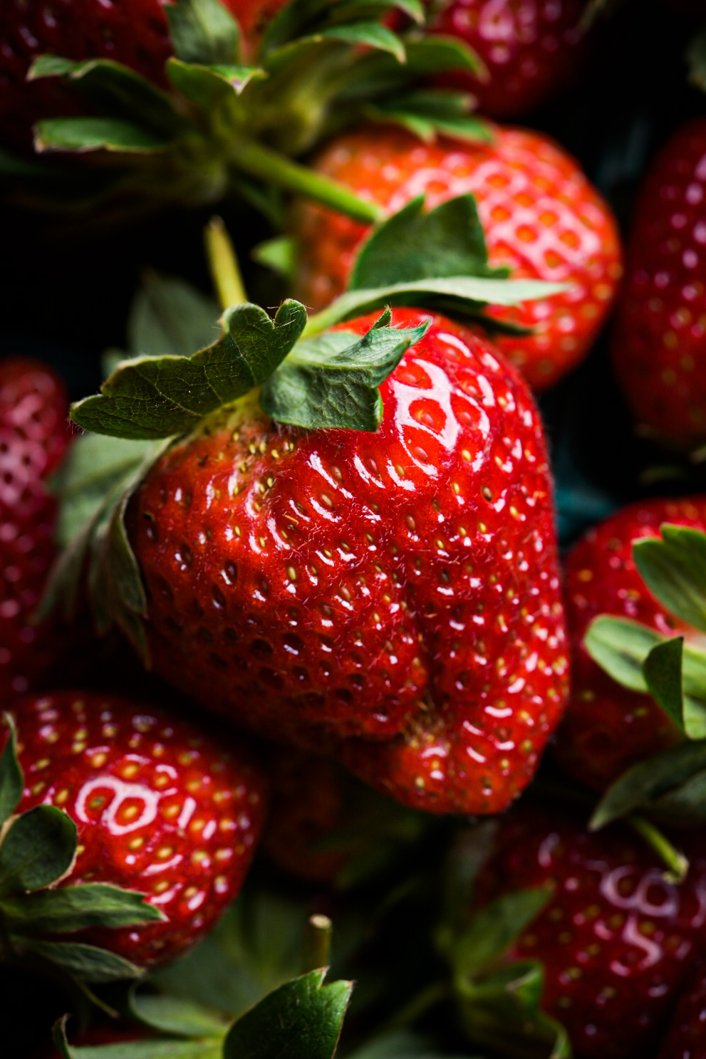 Portrait of a strawberry from Livingston Parish, Louisiana