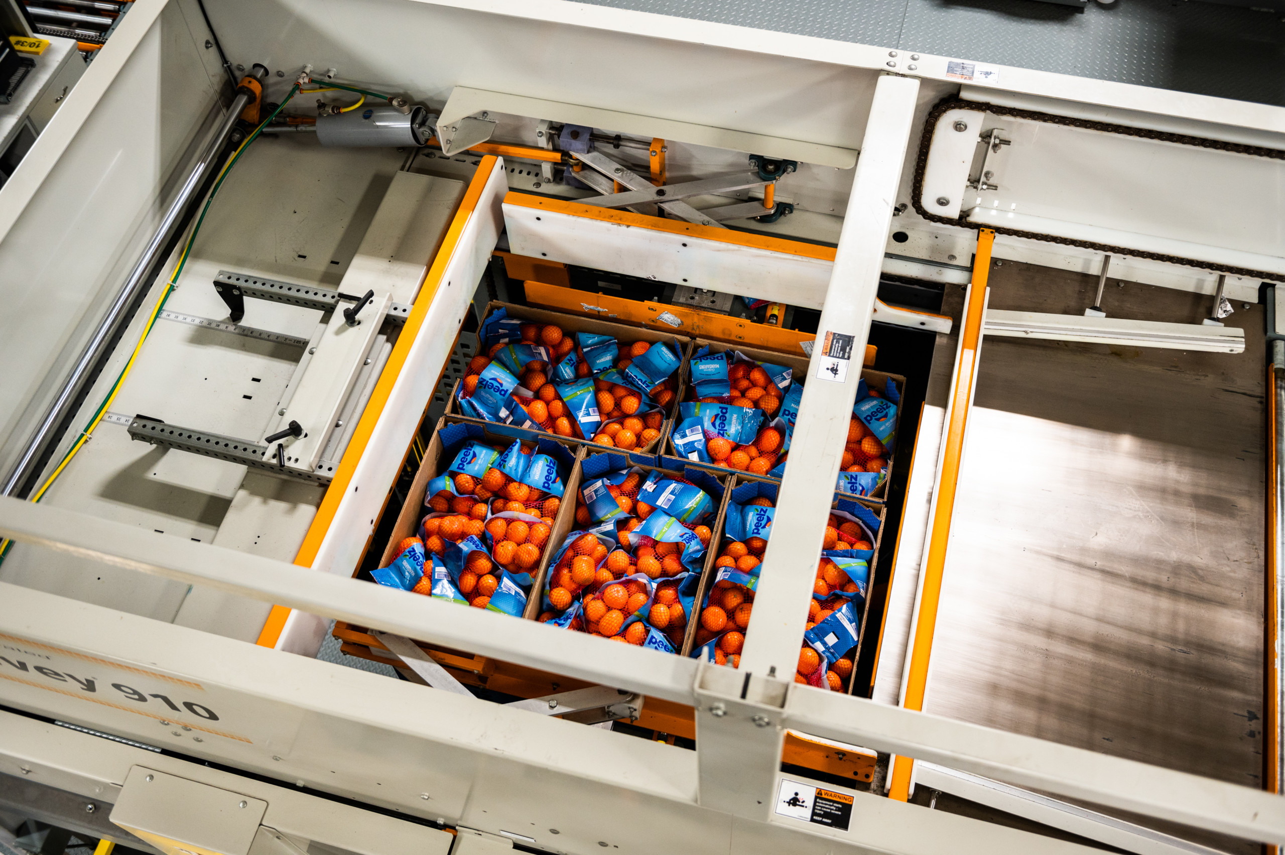 Boxes of fruit are stacked on to pallets using specialized machinery