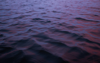 Water ripples reflecting a purple sky before sunrise