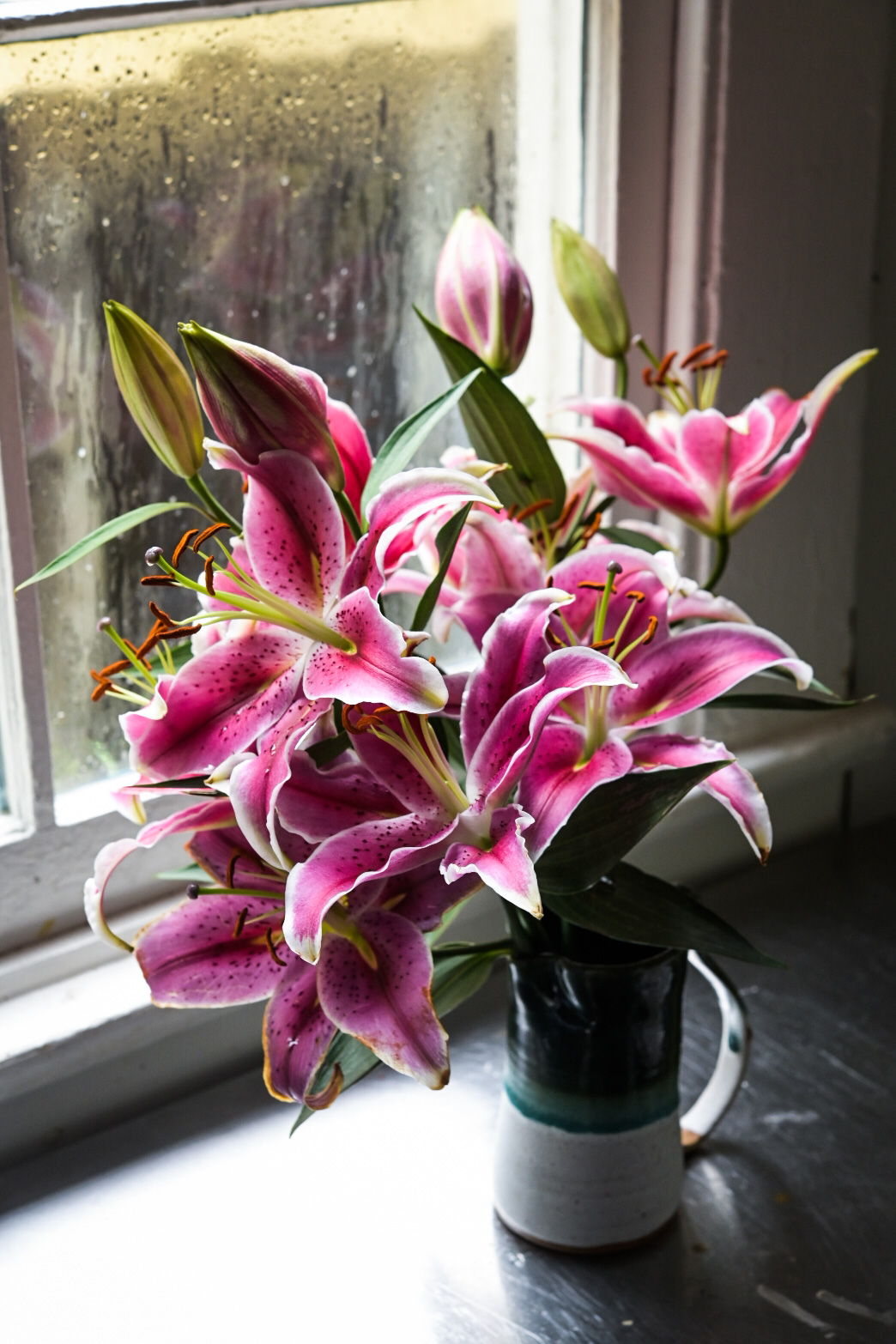 Pink lilies in the window light at the home kitchen studio