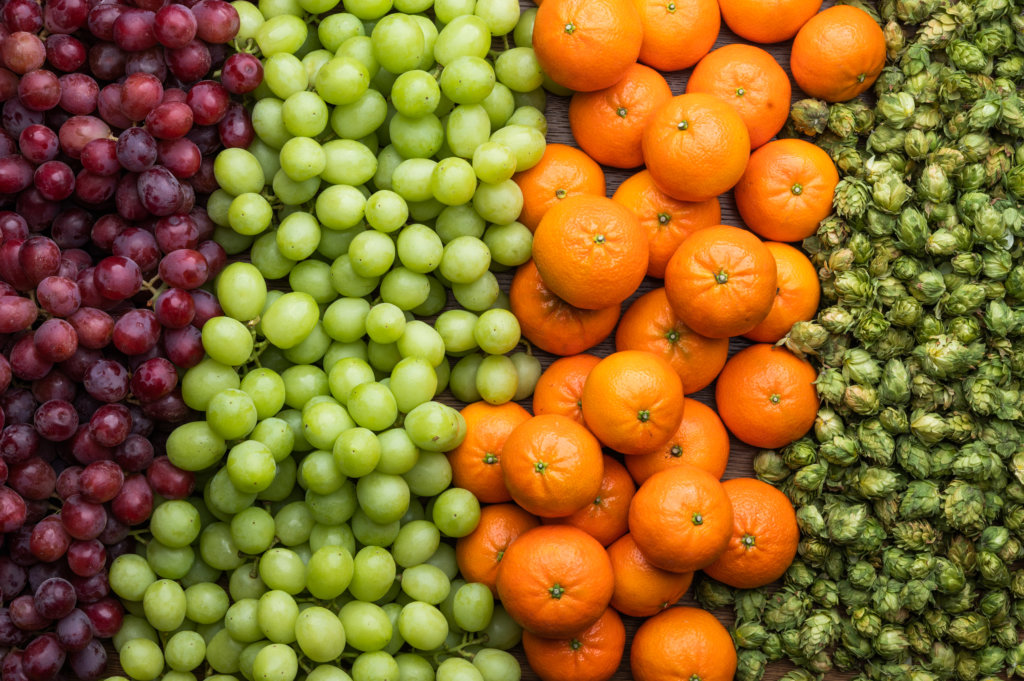 Colorful display of grapes, mandarins and hops, grown by Fowler Packing
