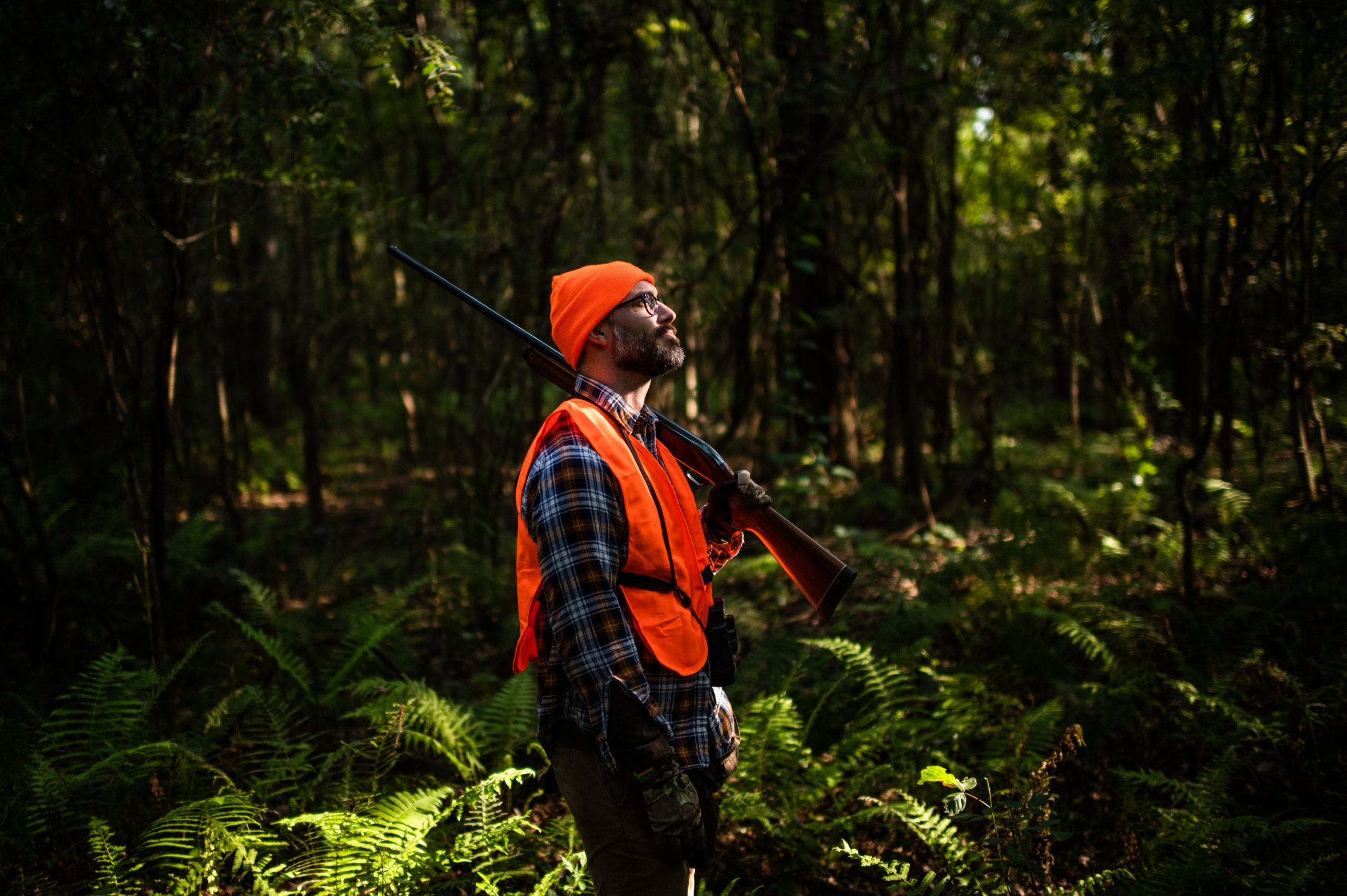 A hunter in safety orange scans treetops for movement