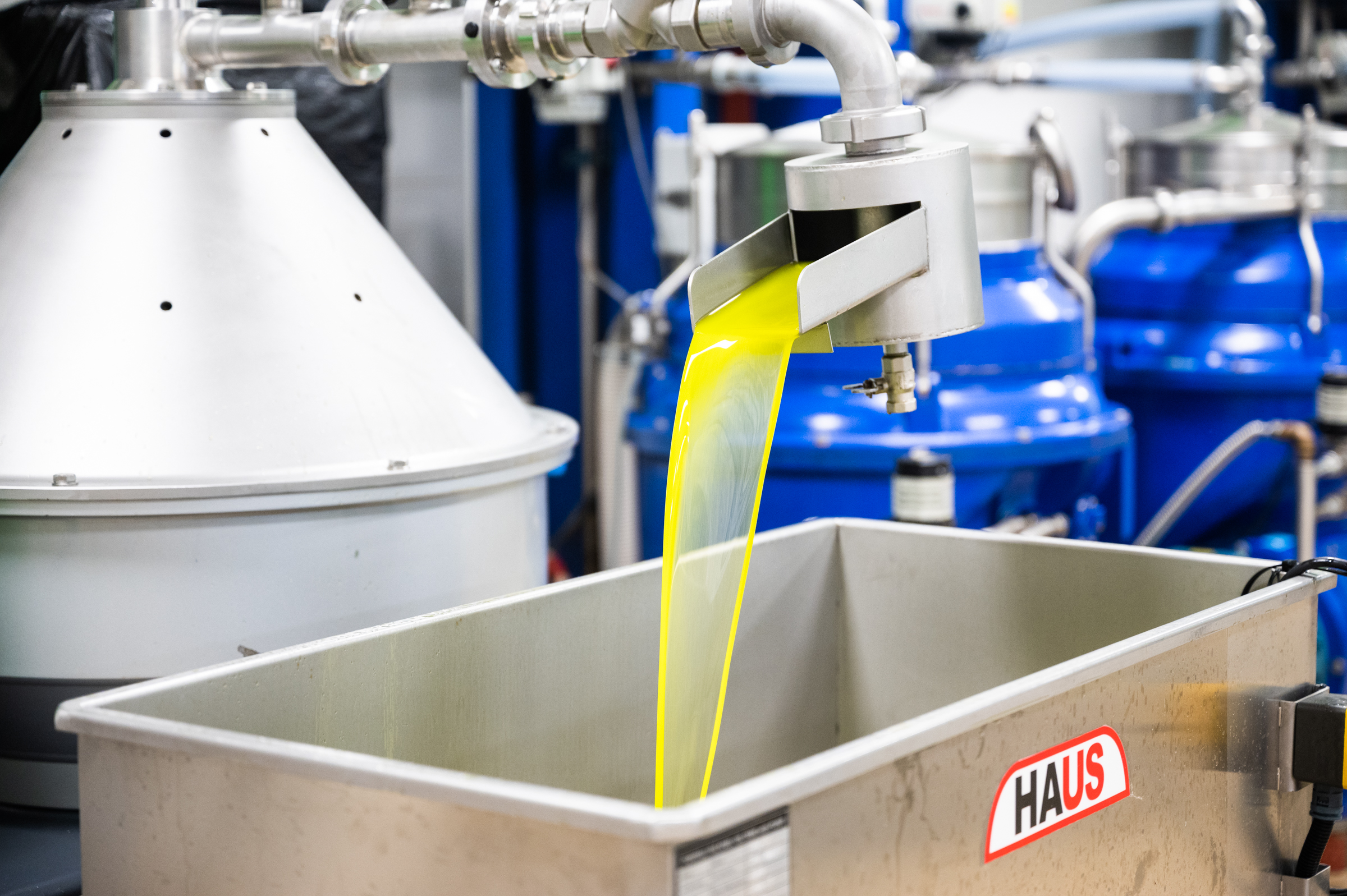 Once separated from solids and water, the olive oil is filtered for bottling