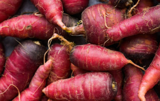 Cosmic Purple carrots from Amorphous Gardens in New Orleans