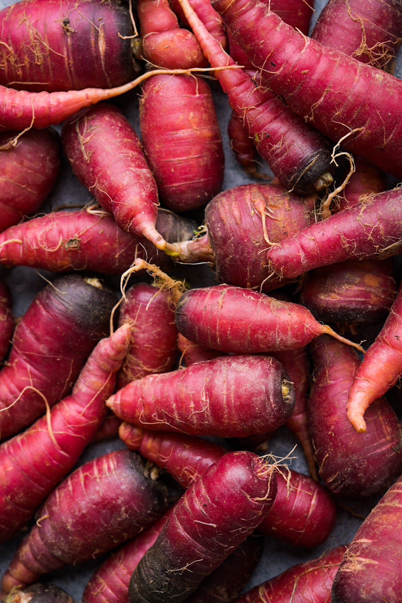 Cosmic Purple carrots from Amorphous Gardens in New Orleans