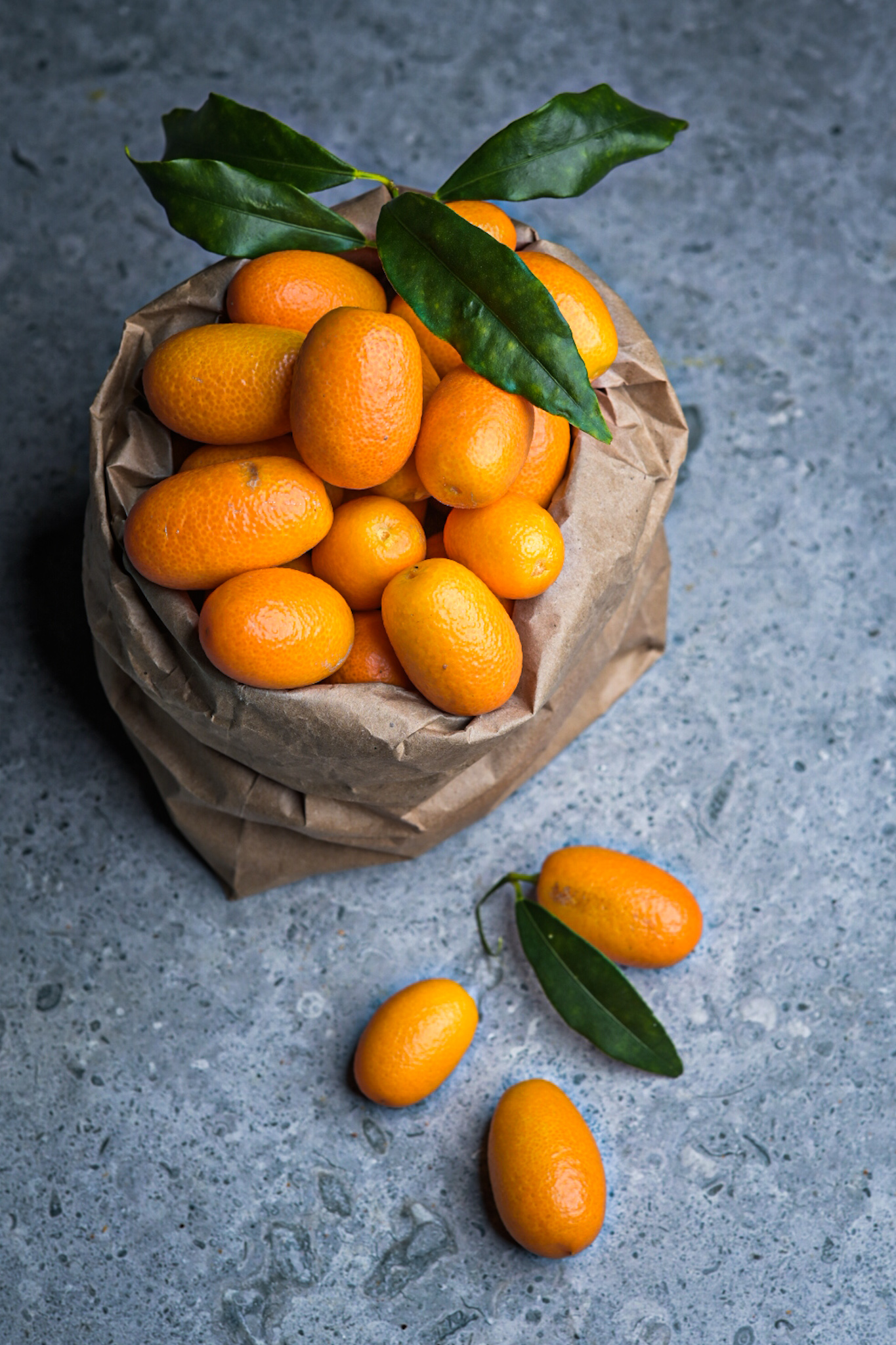 Fresh kumquats from a yard in uptown New Orleans