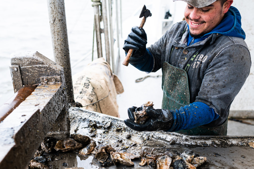 A deckhand on the boat culls oysters