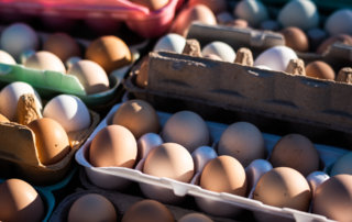 Brown eggs in recycled cartons at the Mid City Crescent City Farmers Market