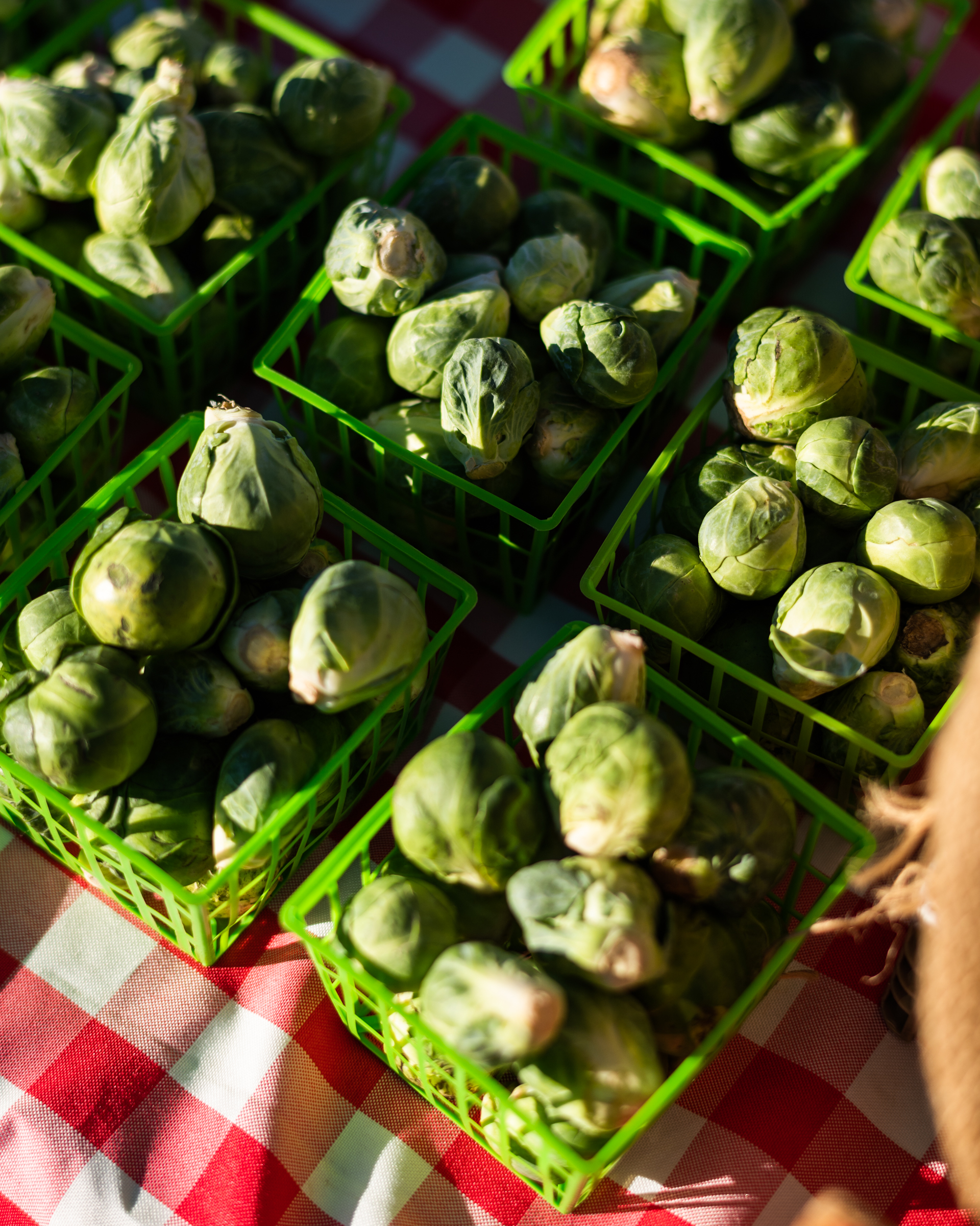 Pint baskets of Brussels sprouts for sale
